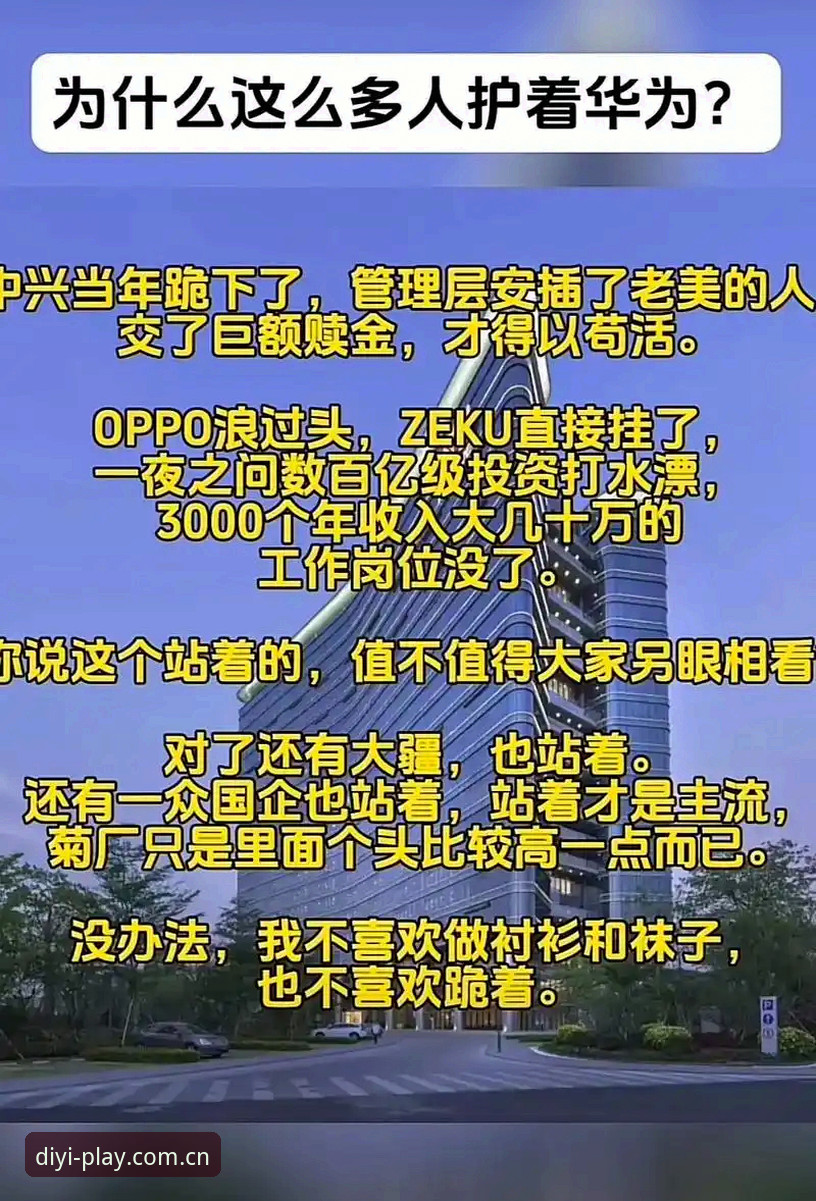 第一娱乐更新安卓版详解：老用户分享最新版本体验与技巧